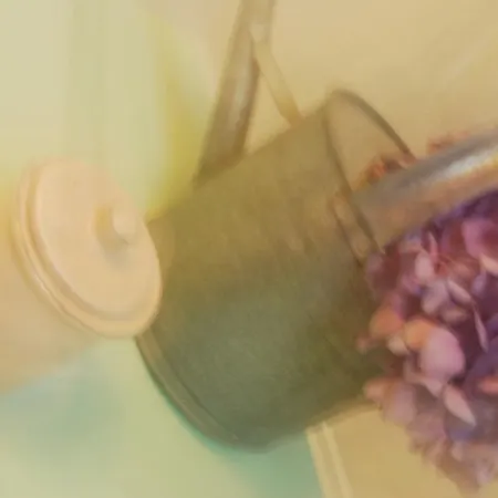 Les De La Grand Place *