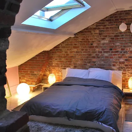 Les Studios De La Grand Place Lägenhet *